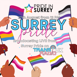 Pale pink background with different hands waiting various different pride hand flags.