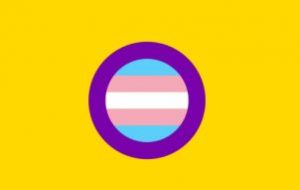 Yellow backgroun of the intersex flag with the purple interex circle with the trans flag inside